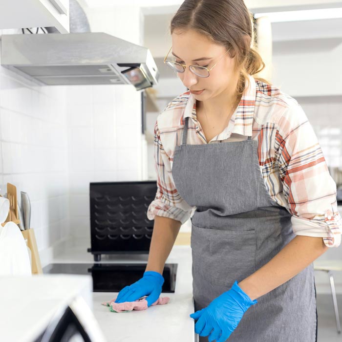 Professional cleaning service in Michigan